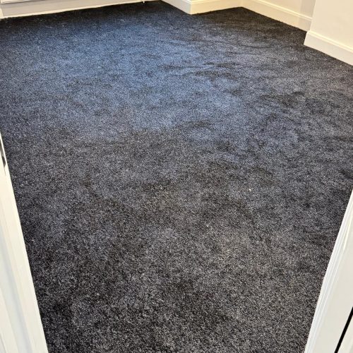 WhatsApp Image 2025-10-28 at 01.36.23_79105547