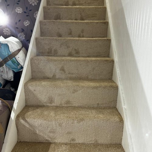 WhatsApp Image 2025-10-28 at 01.36.25_9519cfa5